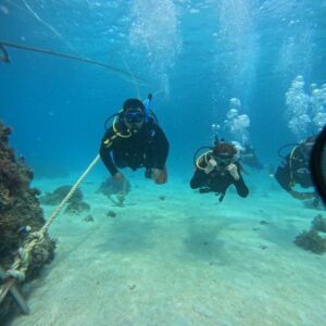 PADI Open Water Course