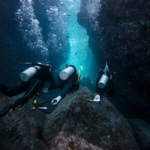 Night Fun Dive