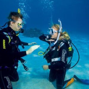 PADI Dive Master Course