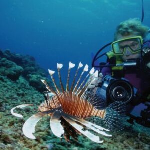 4 Fun Dive Package