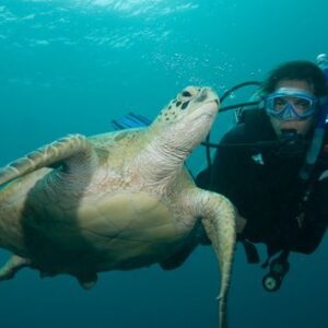 8 Fun Dive Package